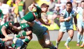 Focus on Scrum Half
