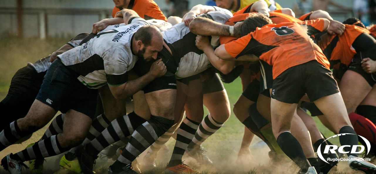 Rugby Strength Training image